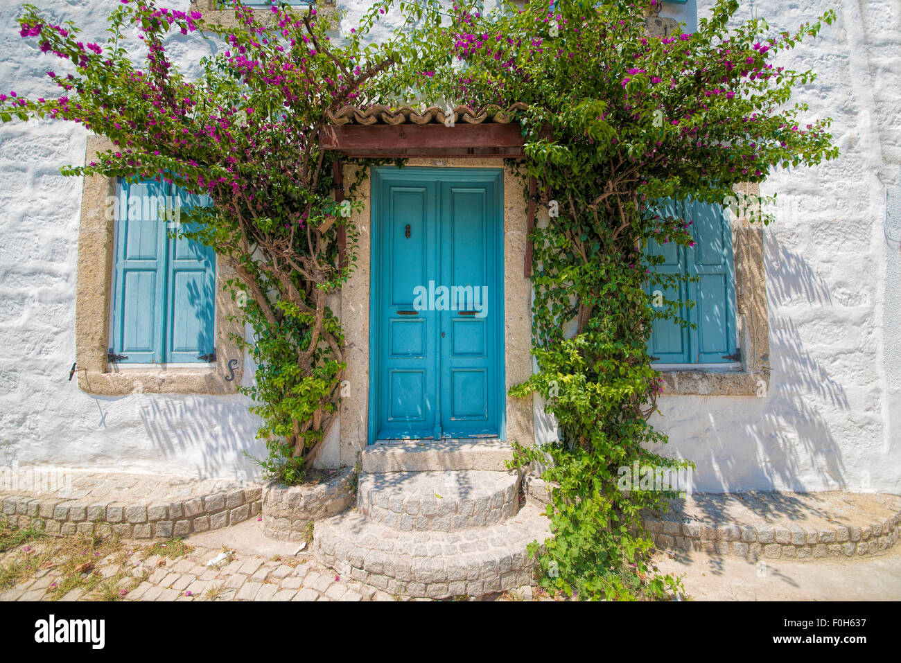 Porte en bois bleu classique Banque D'Images
