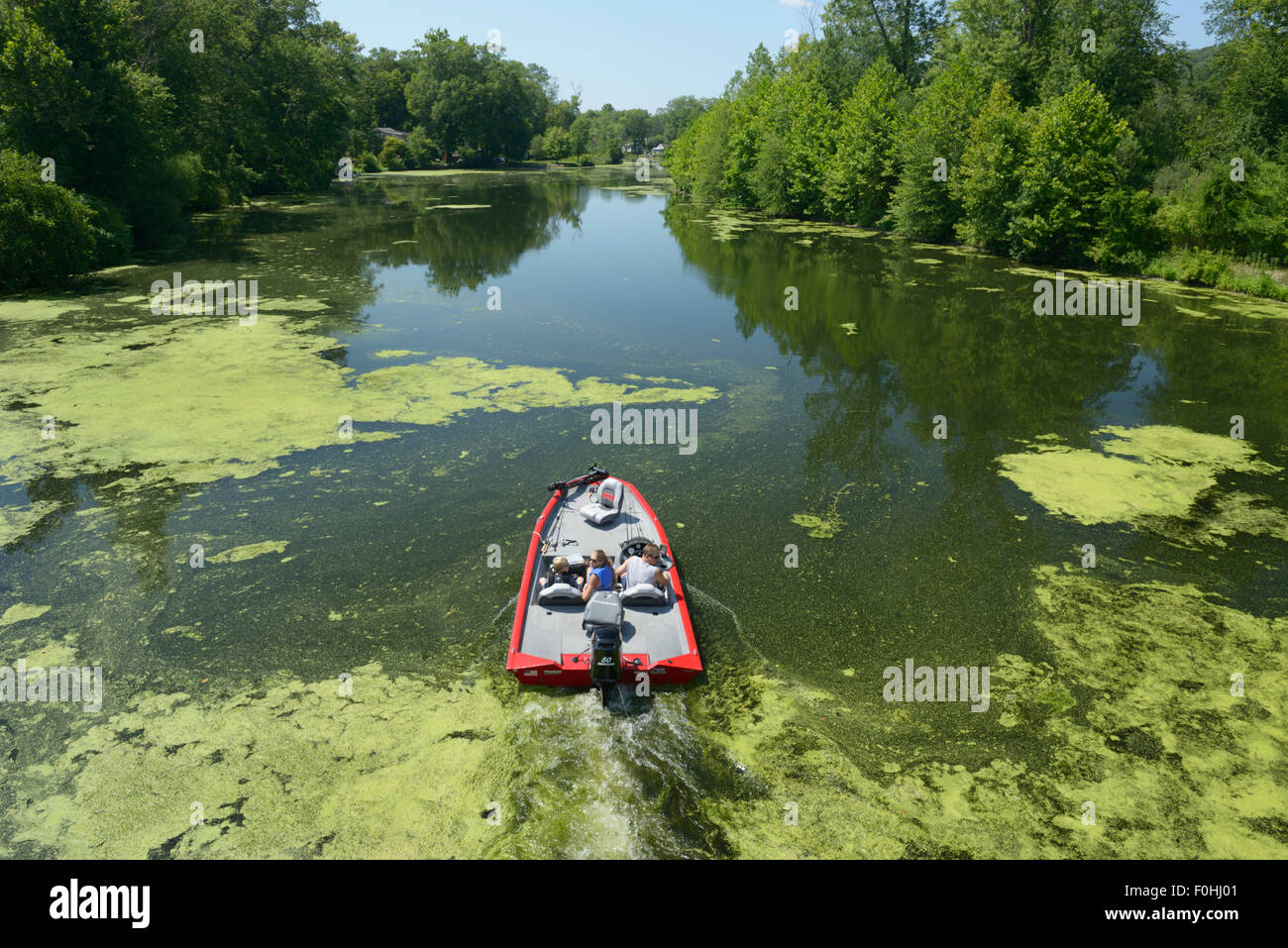 Les gens dans le bateau se déplaçant dans l'eau polluée l'objet de l'eutrophisation et une prolifération des algues, Ramapo River, NJ Banque D'Images