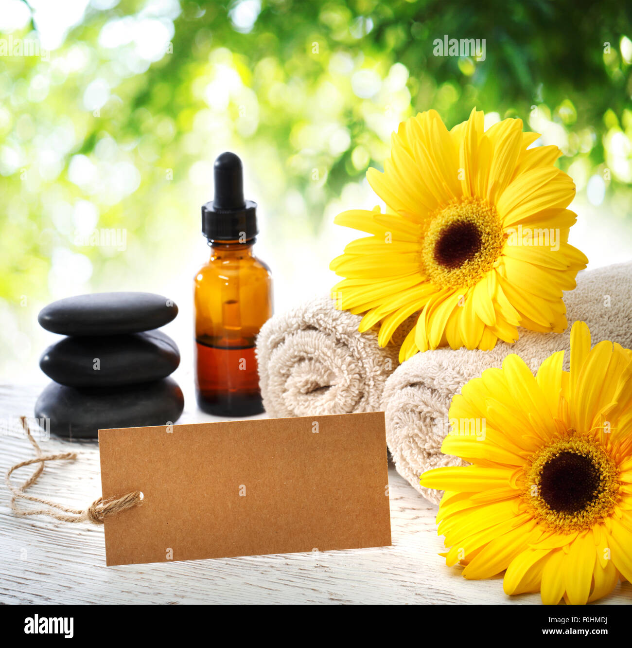 Éléments Spa avec carte bancaire sur fond de feuilles d'arbres brillant Banque D'Images