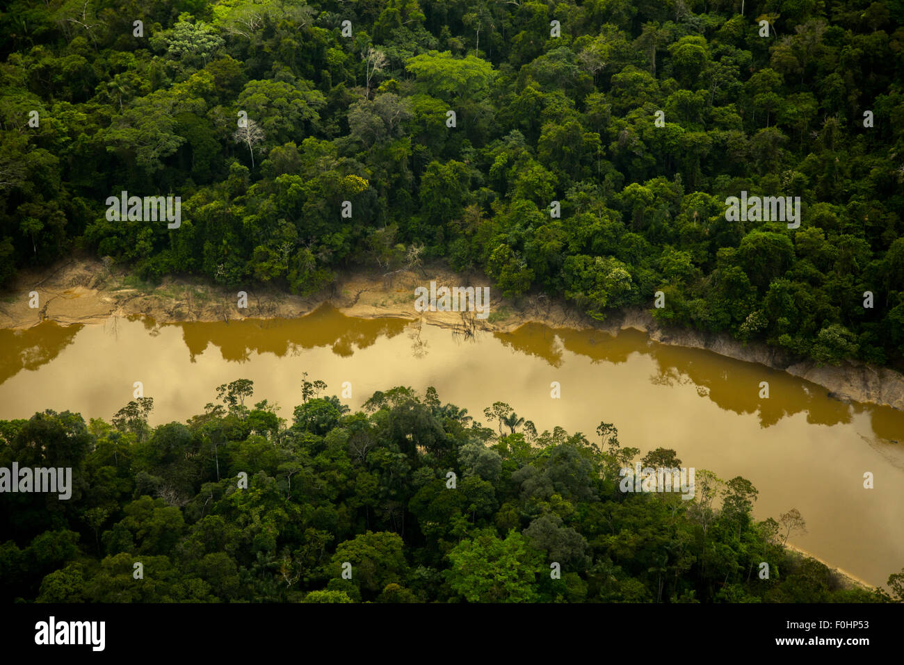Antenne de la forêt tropicale. La rivière Yavari Miri, entre l'Amazonie Iquitos, Pérou et la frontière brésilienne Banque D'Images