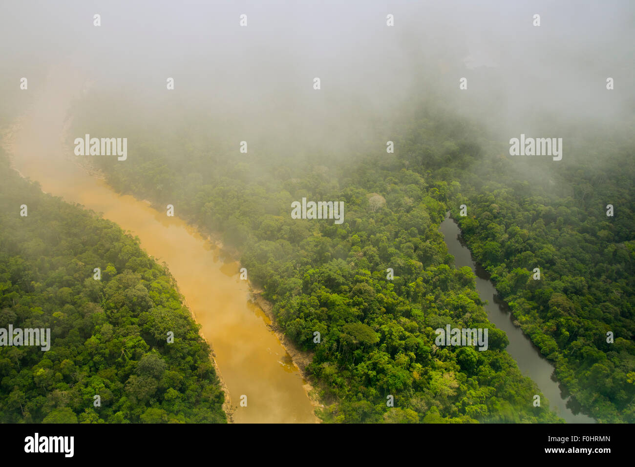 Antenne de la forêt tropicale. La forêt primaire, la rivière Yavari Miri et Oxbow, entre Iquitos, Pérou et frontière brésilienne Banque D'Images