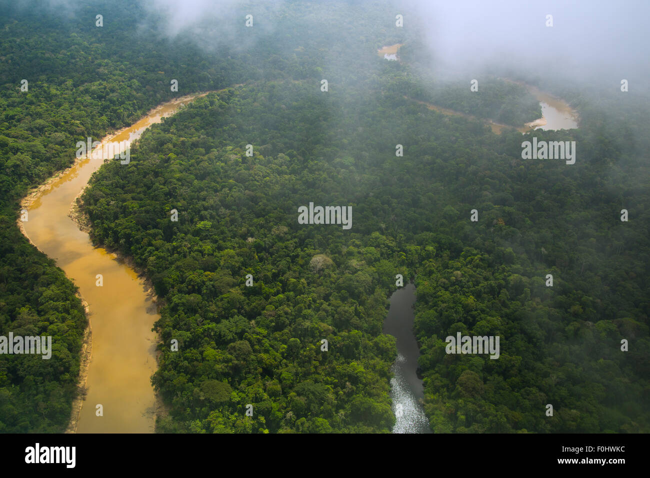 Antenne de la forêt tropicale. La forêt primaire, la rivière Yavari Miri et Oxbow, entre Iquitos, Pérou et frontière brésilienne Banque D'Images Antenne de la forêt tropicale. La forêt primaire, la rivière Yavari Miri et Oxbow, entre Iquitos, Pérou et frontière brésilienne Banque D'Images