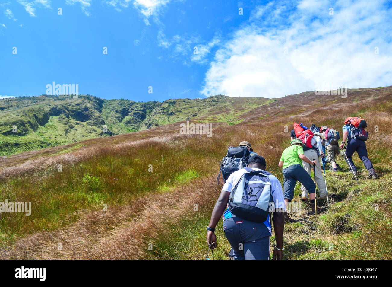 Les touristes lors de l'ascension du Mont Cameroun (Mount Fako), le sommet le plus élevé de l'Afrique de l'Ouest Banque D'Images