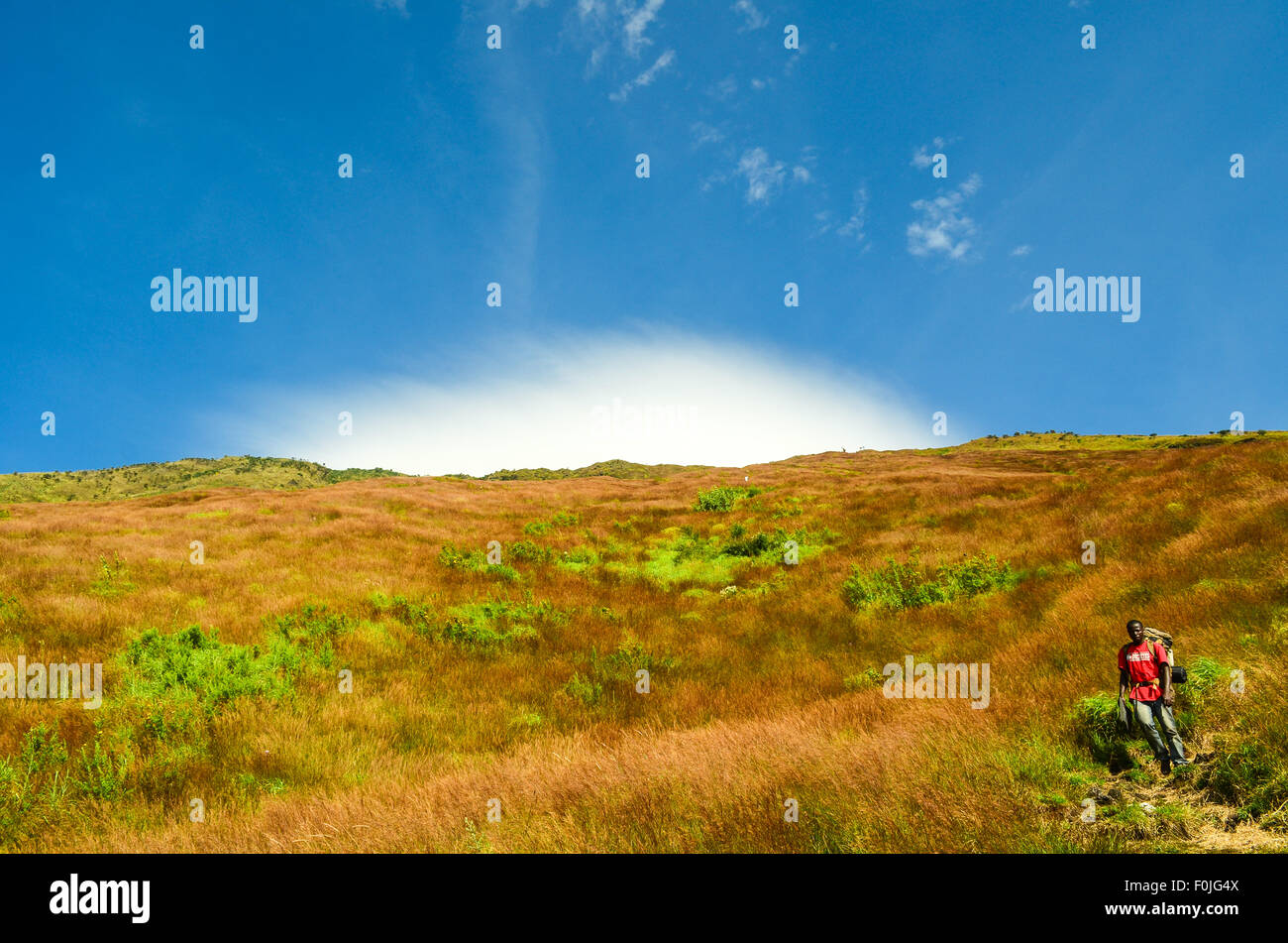 Un guide local lors de l'ascension du Mont Cameroun (Mount Fako), le sommet le plus élevé de l'Afrique de l'Ouest Banque D'Images