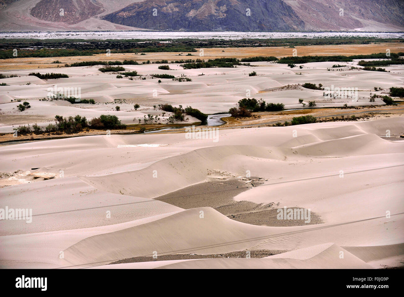 Jammu Cachemire Inde Ladakh trekking dans les dunes de sable de la vallée de Nubra Banque D'Images