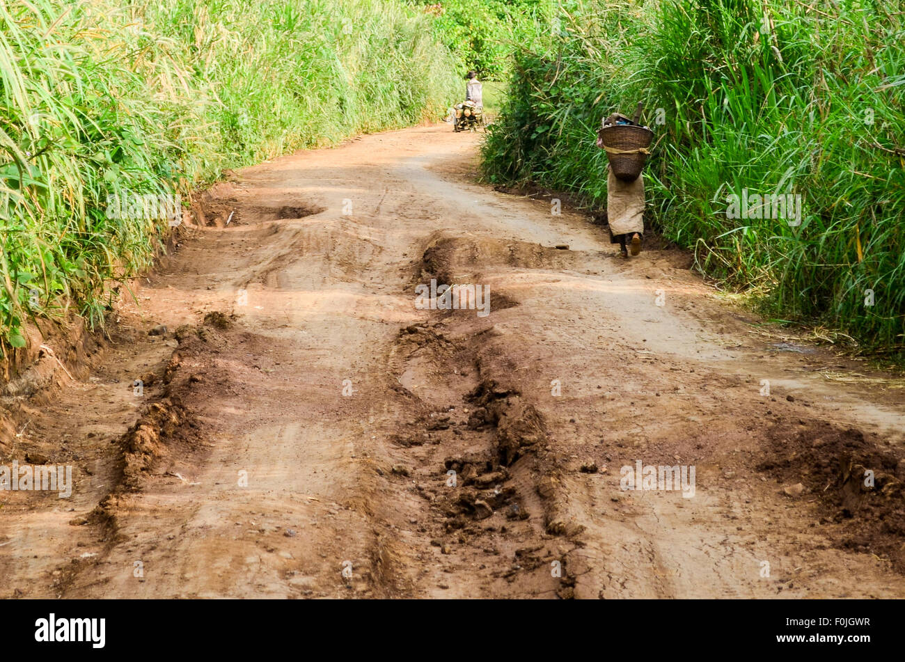 Femme portant un panier sur un chemin de terre au Cameroun Banque D'Images