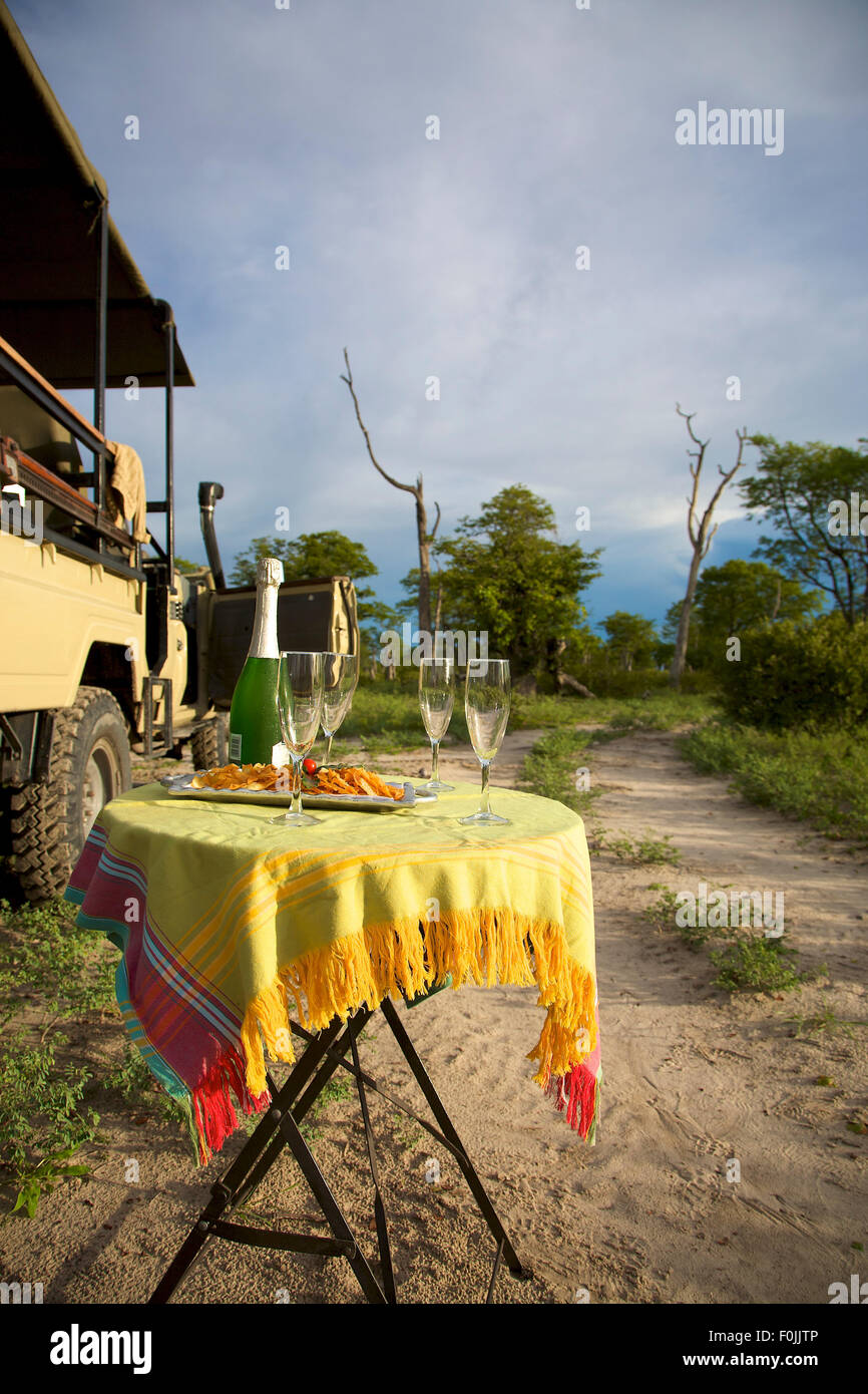 Du champagne et une commande de jeu safari au Botswana Banque D'Images