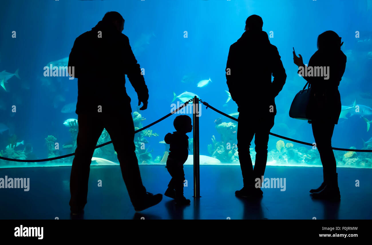 Trois adultes et un enfant en position debout, le dos à l'appareil photo à la recherche de poisson dans un réservoir géant à la partie profonde, Hull, East Yorskhire, Banque D'Images