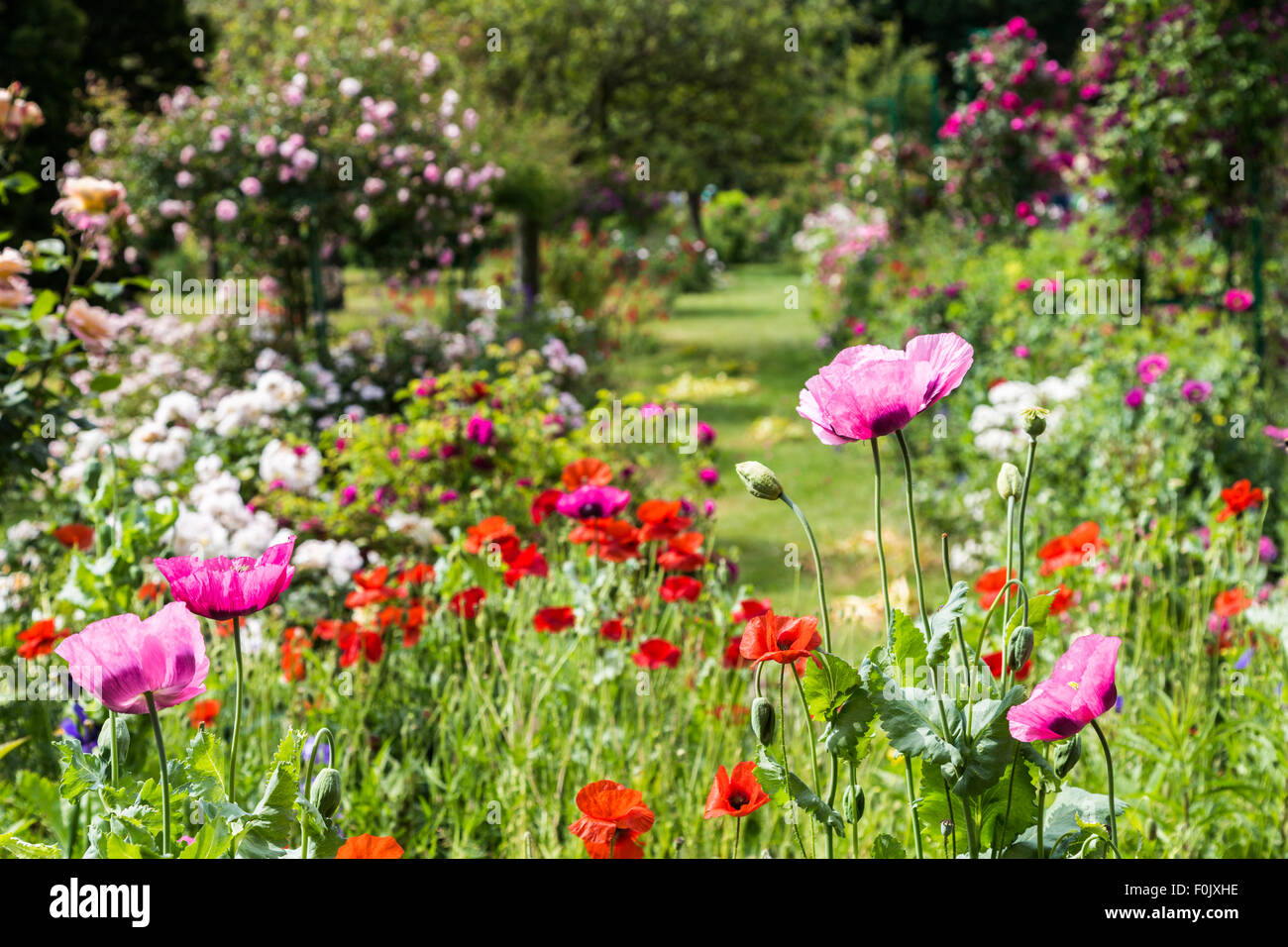 Toile Décorative Claude Monet "Jardin De Giverny" - 76,2 X 50,8 Cm, Cadre Pin 18 Mm, Prête à Accrocher - 3