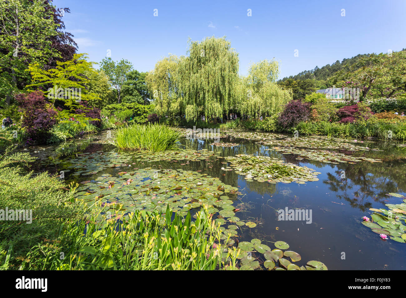 L'eau l'étang à Giverny, le jardin de peintre impressionniste français Claude Monet, la Normandie, le nord de la France Banque D'Images