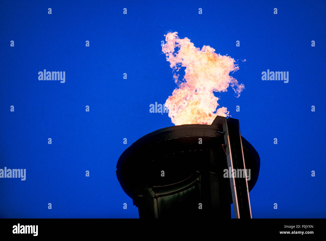 À la flamme olympique des Jeux Olympiques d'été de 1984, Los Angeles, CA. Banque D'Images