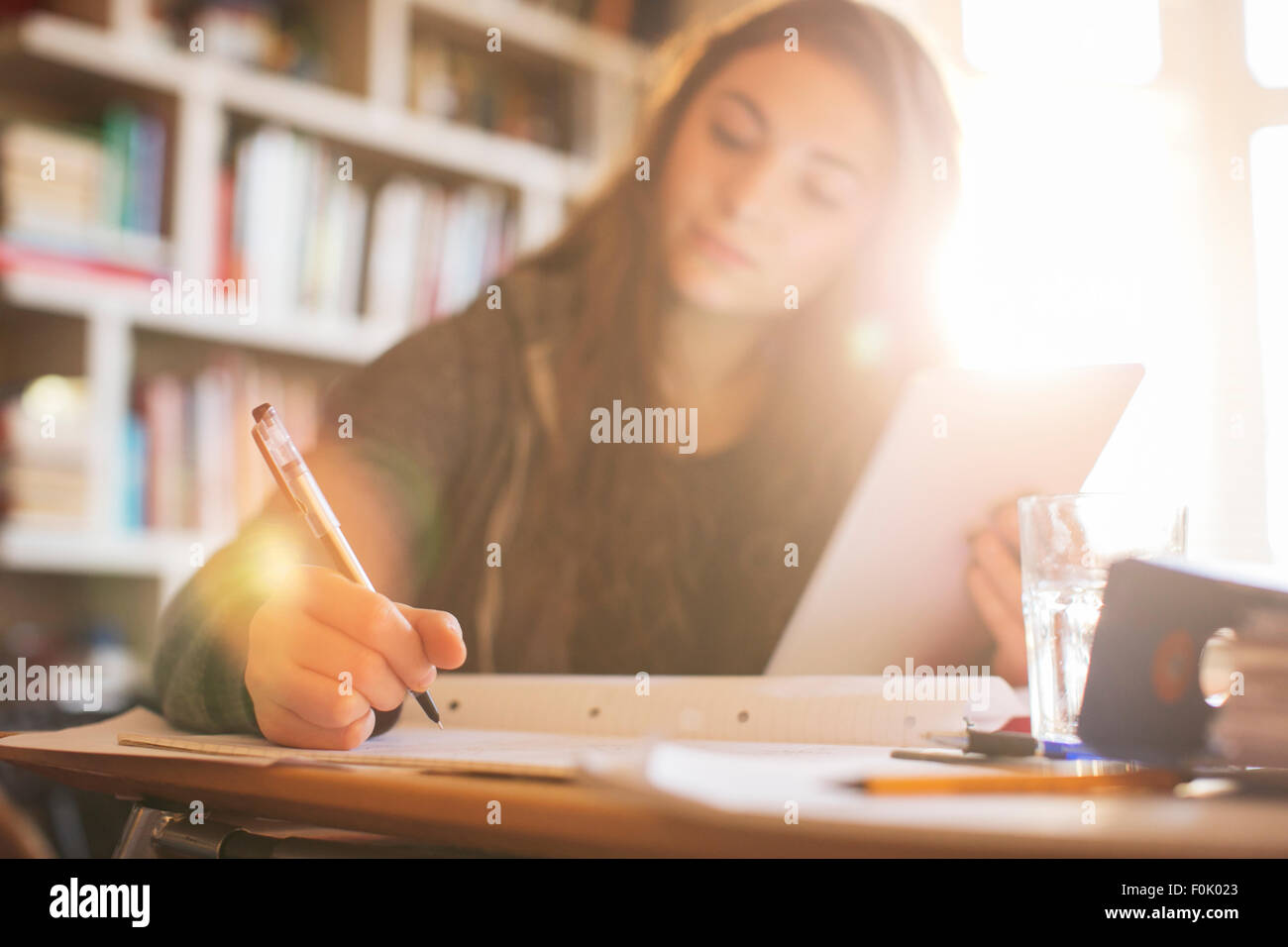 Teenage girl with digital tablet à faire des devoirs à sunny 24 Banque D'Images