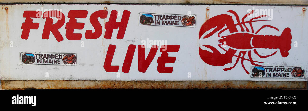 Le homard vivant for sale sign Vinalhaven Island Maine Nouvelle Angleterre USA Banque D'Images