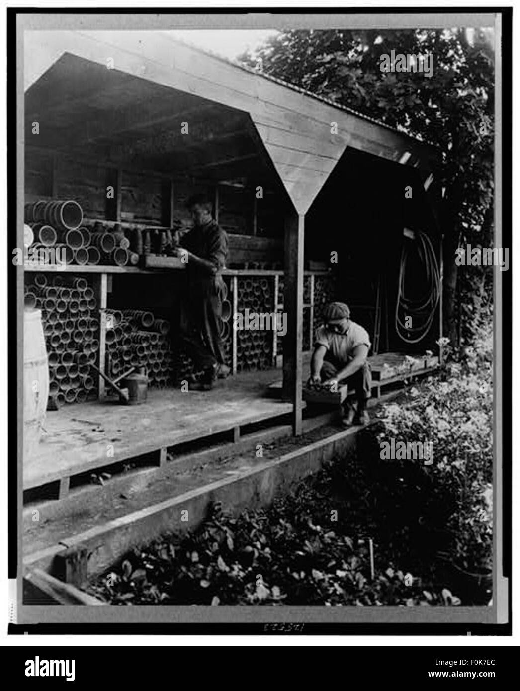 Cette photographie montre des jardiniers qui rempotent des plantes à l'intérieur d'un hangar, capturant l'essence du travail horticole, mettant l'accent sur les outils et les techniques utilisés pour la culture des plantes dans un environnement contrôlé. Banque D'Images
