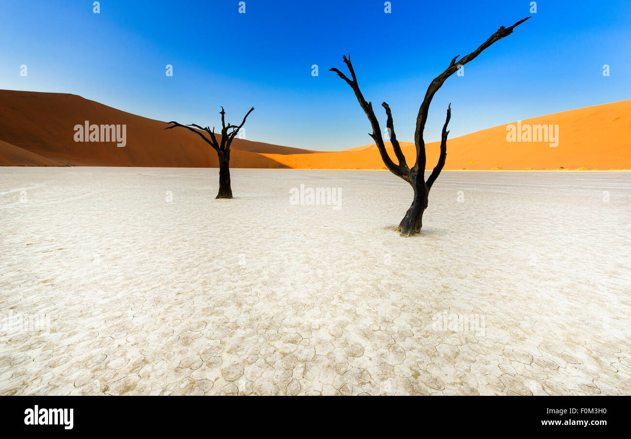 Les dunes rouges de Sossusvlei et les arbres morts de Deadvlei, Namibie Banque D'Images