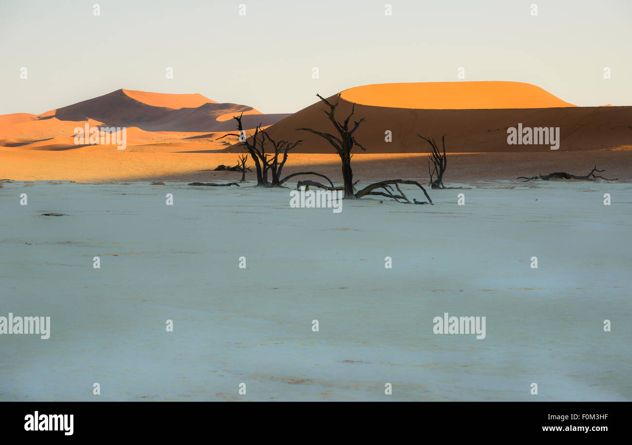 Les dunes rouges de Sossusvlei et les arbres morts de Deadvlei, Namibie Banque D'Images