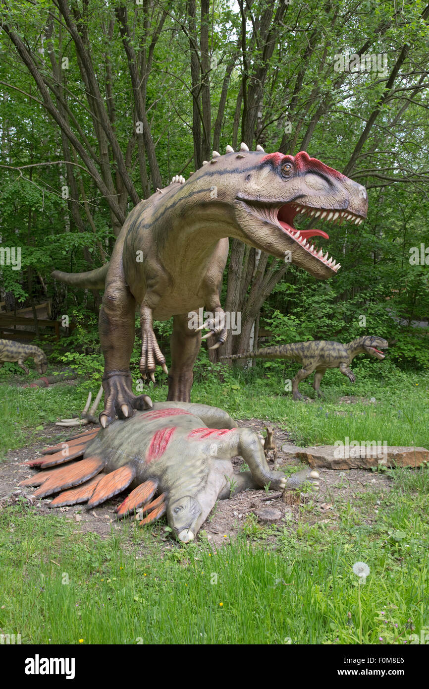 L'Allosaurus disparue de dinosaure carnivore théropode du Jurassique tardif Dinosaurier Park Banque D'Images