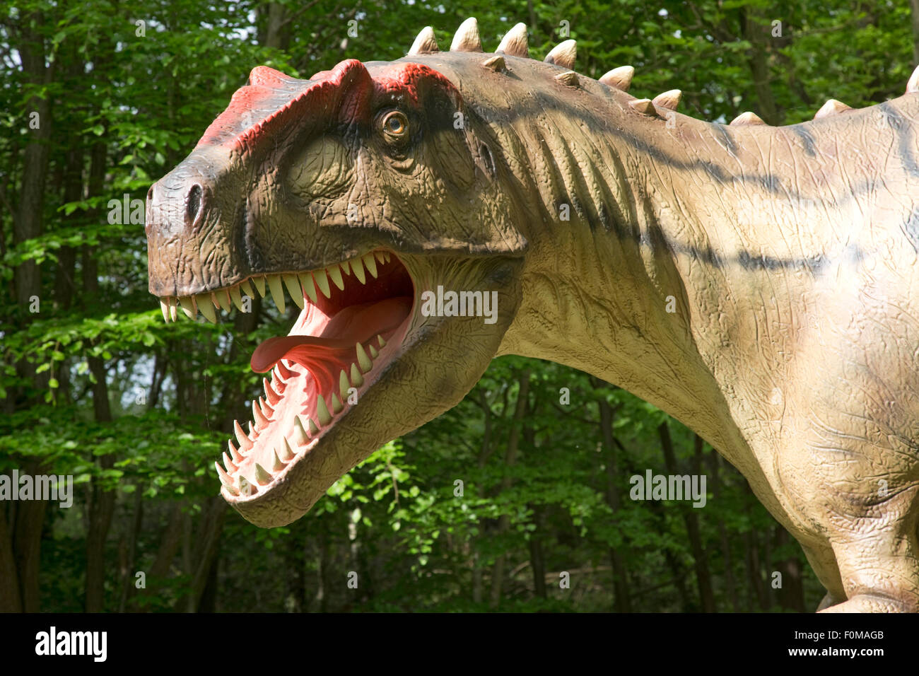 L'Allosaurus disparue de dinosaure carnivore théropode du Jurassique tardif Dinosaurier Park Banque D'Images
