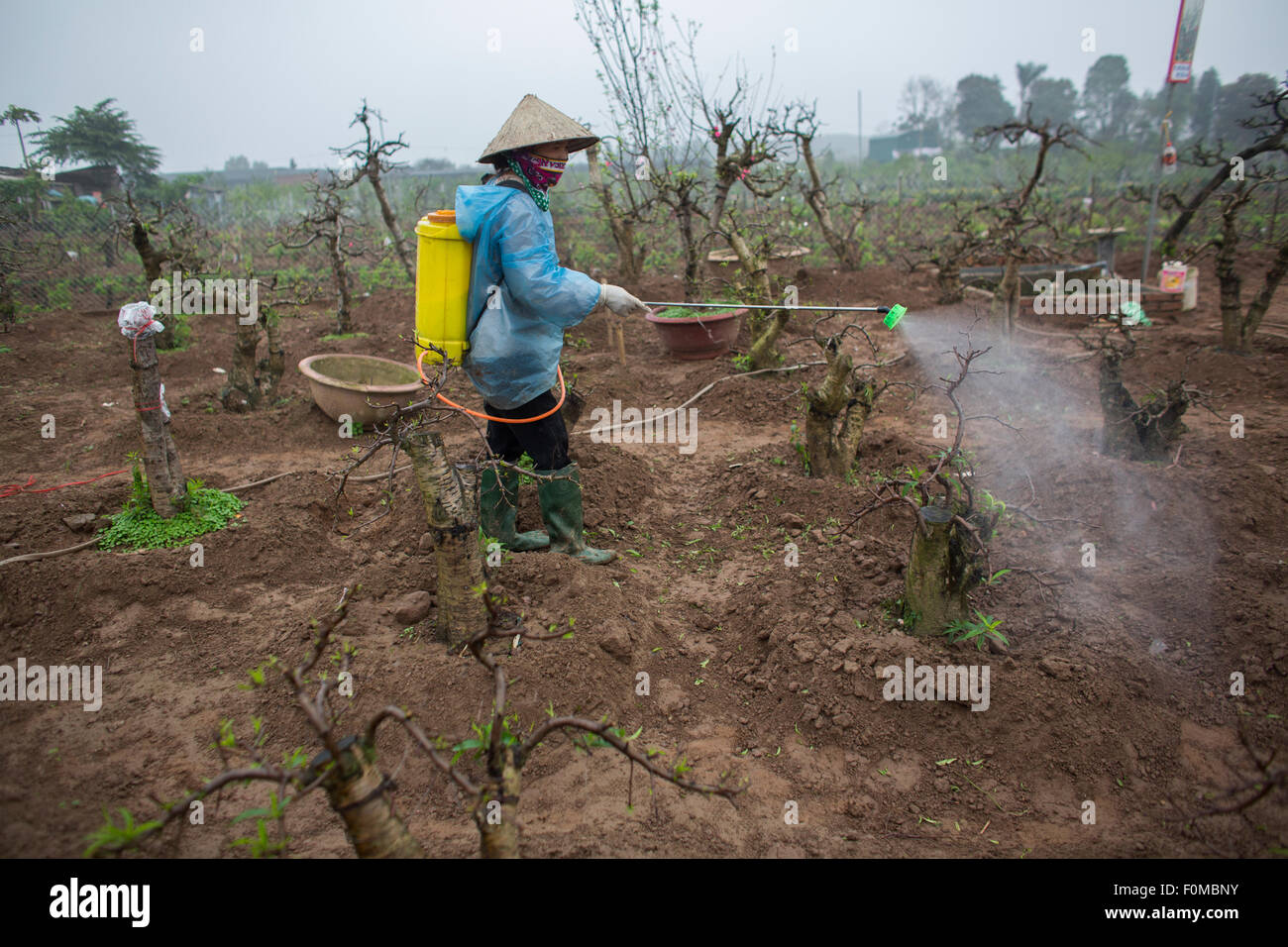 La pulvérisation d'insecticide au Vietnam Banque D'Images