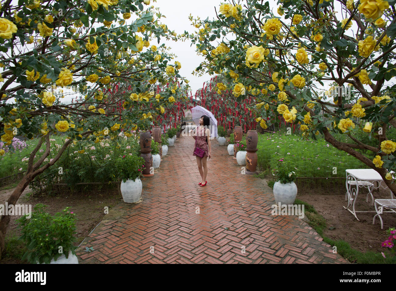 Jeune fille dans un jardin de fleurs en plastique à Hanoi, Vietnam Banque D'Images