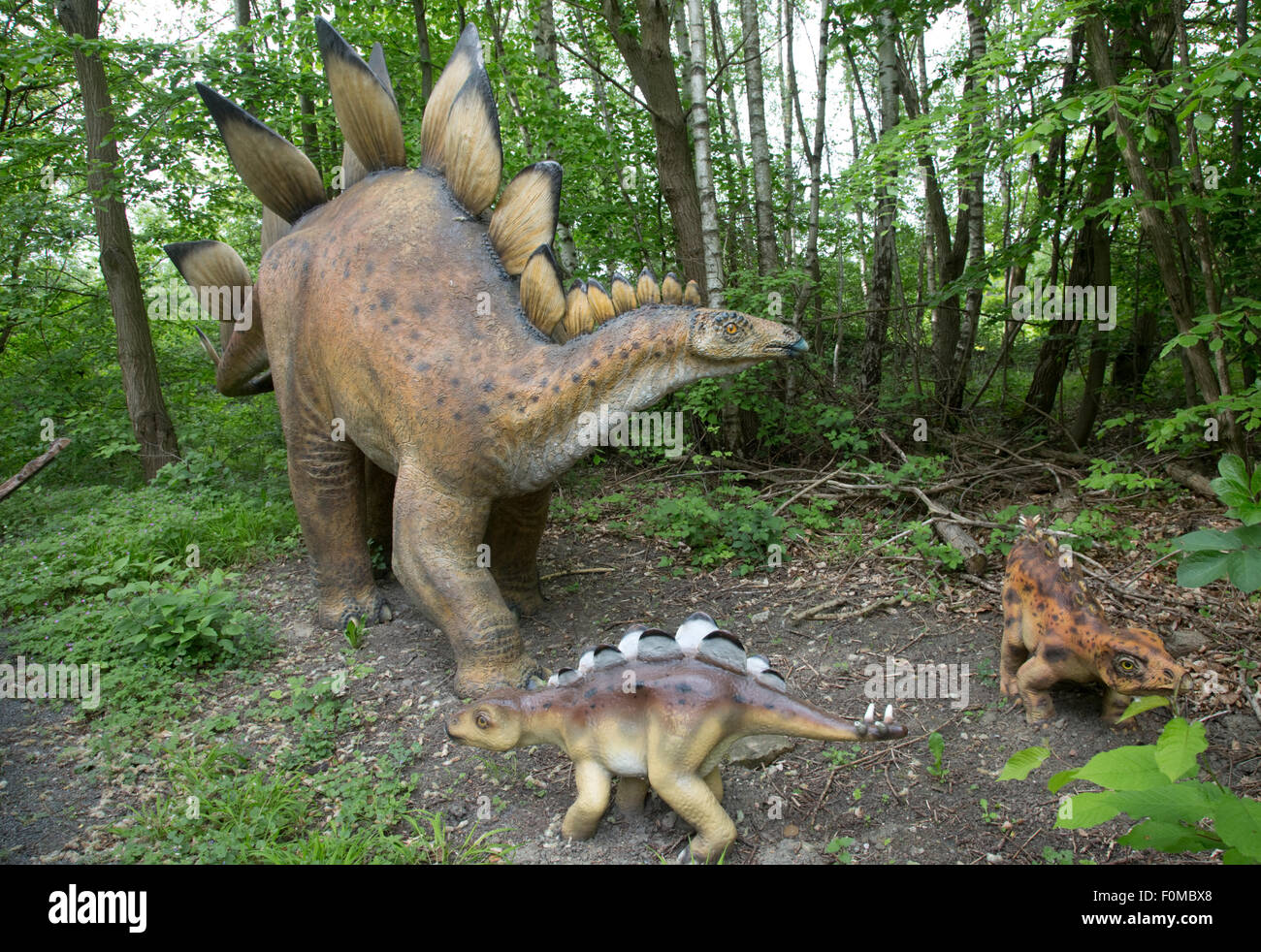 Le Stegosaurus grand disparu Jurassic Park Allemagne Dinosaurier herbivores  Photo Stock - Alamy