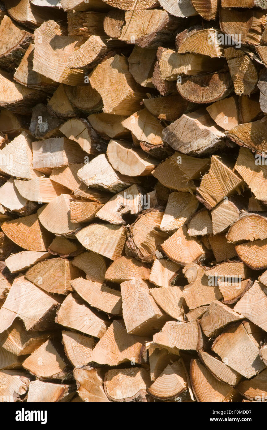 Bois de chauffage bois de feu haché hacher empilées coupe branches split empilage séchage à sec pour l'hiver d'assaisonnement stockées magasin location Banque D'Images