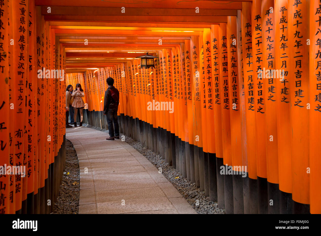 Senbon Torii (1 000) portes Torii, Fushimi Inari Taisha, Kyoto, Japon, Asie Banque D'Images