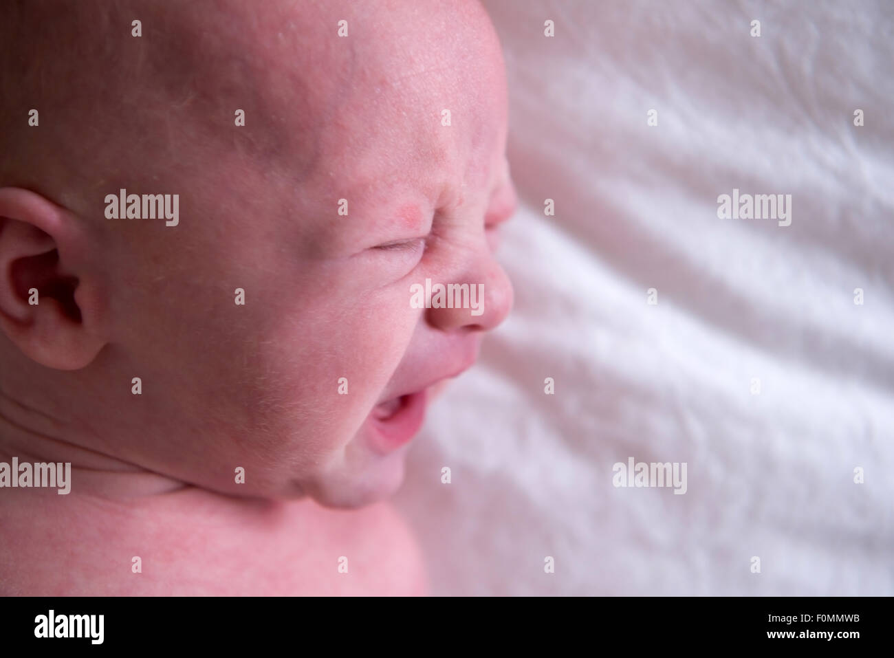 New Born Baby Boy crying Banque D'Images