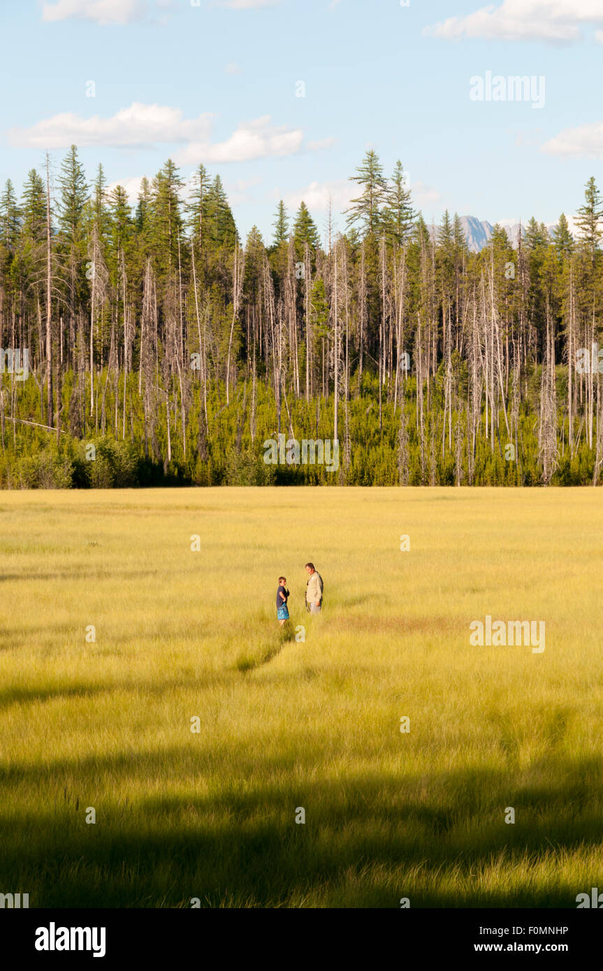 La lumière du soleil du soir sur deux personnes marchant sur McGee meadow dans le Glacier National Park, Montana, USA Banque D'Images