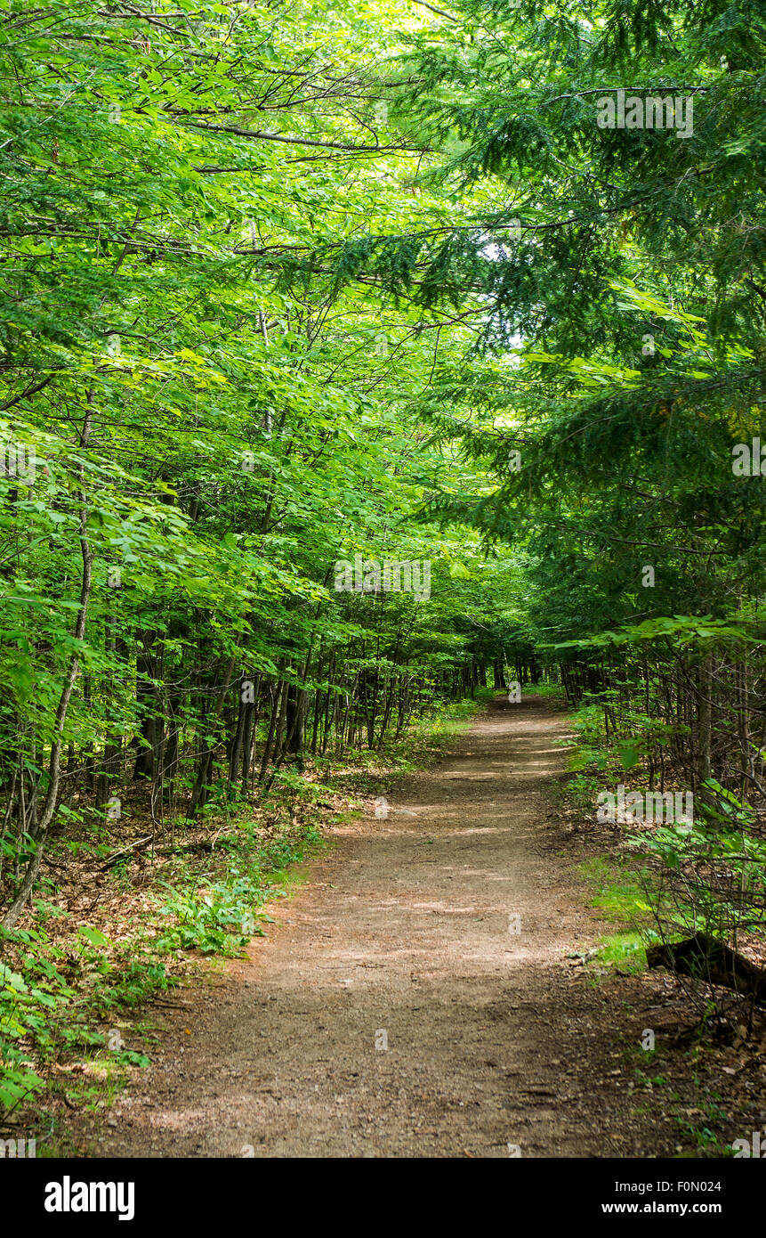 Wilmington Flume Trail Banque D'Images