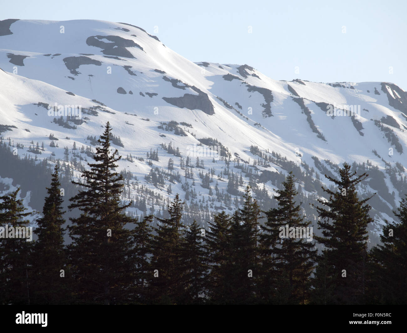 Sur une montagne avec forêt Tongass, sud-est de l'Alaska Banque D'Images