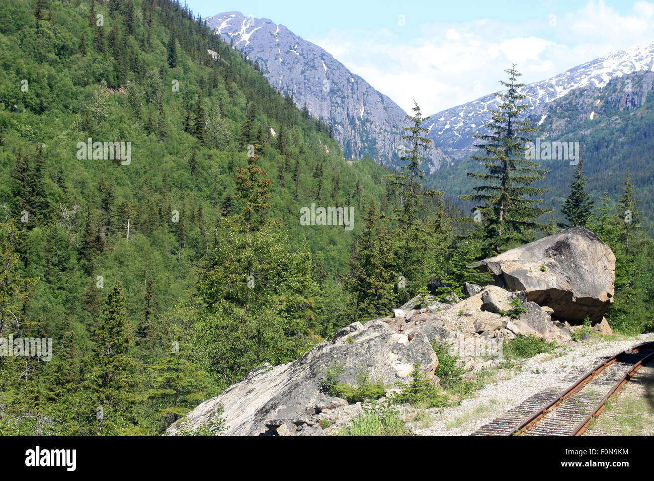 Vieux Chemin de fer en forêt verte Banque D'Images