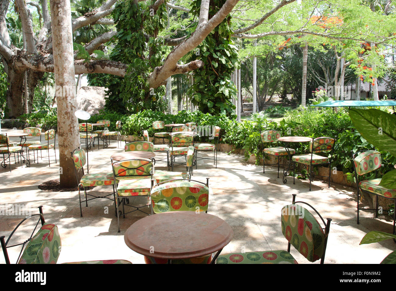 Café décontracté dans tropical resort Banque D'Images