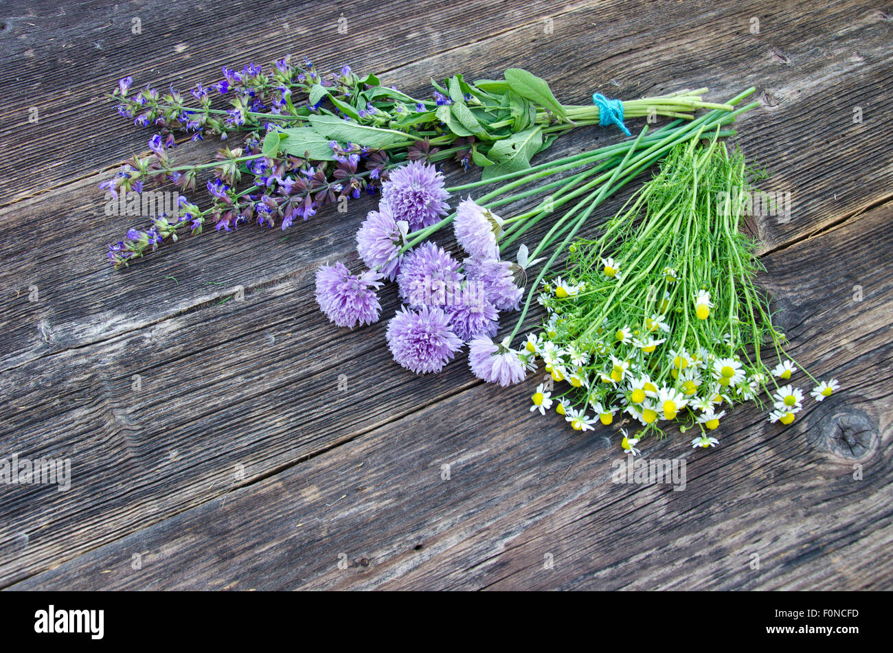 Songe d'herbes médicales tas sur l'ancien fond de bois. sage, de camomille et de fleurs d'Oignons Banque D'Images
