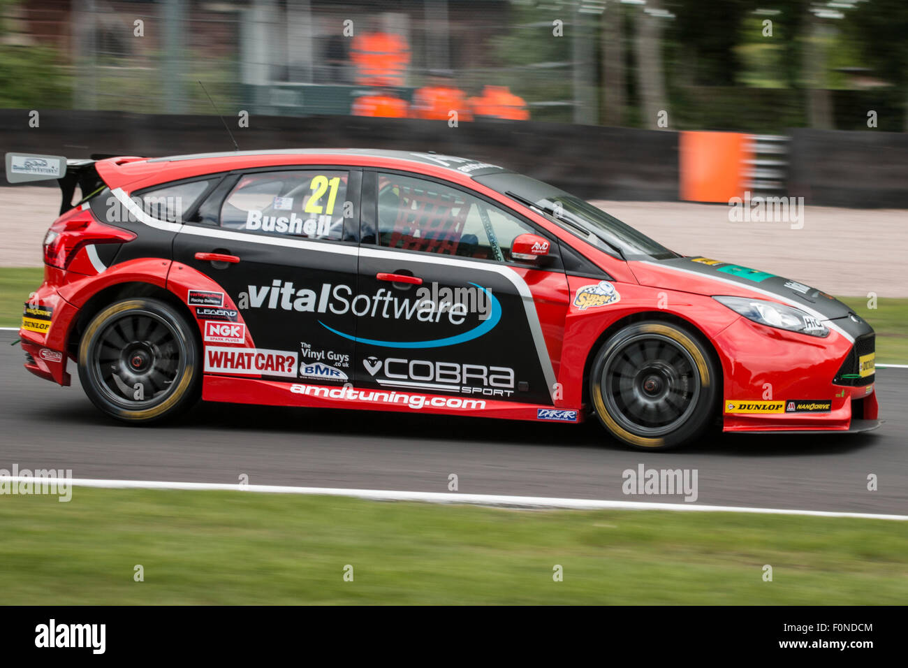 Mike Bushell à druides dans le AmDTuning.com Ford Focus ST Oulton Park BTCC Banque D'Images
