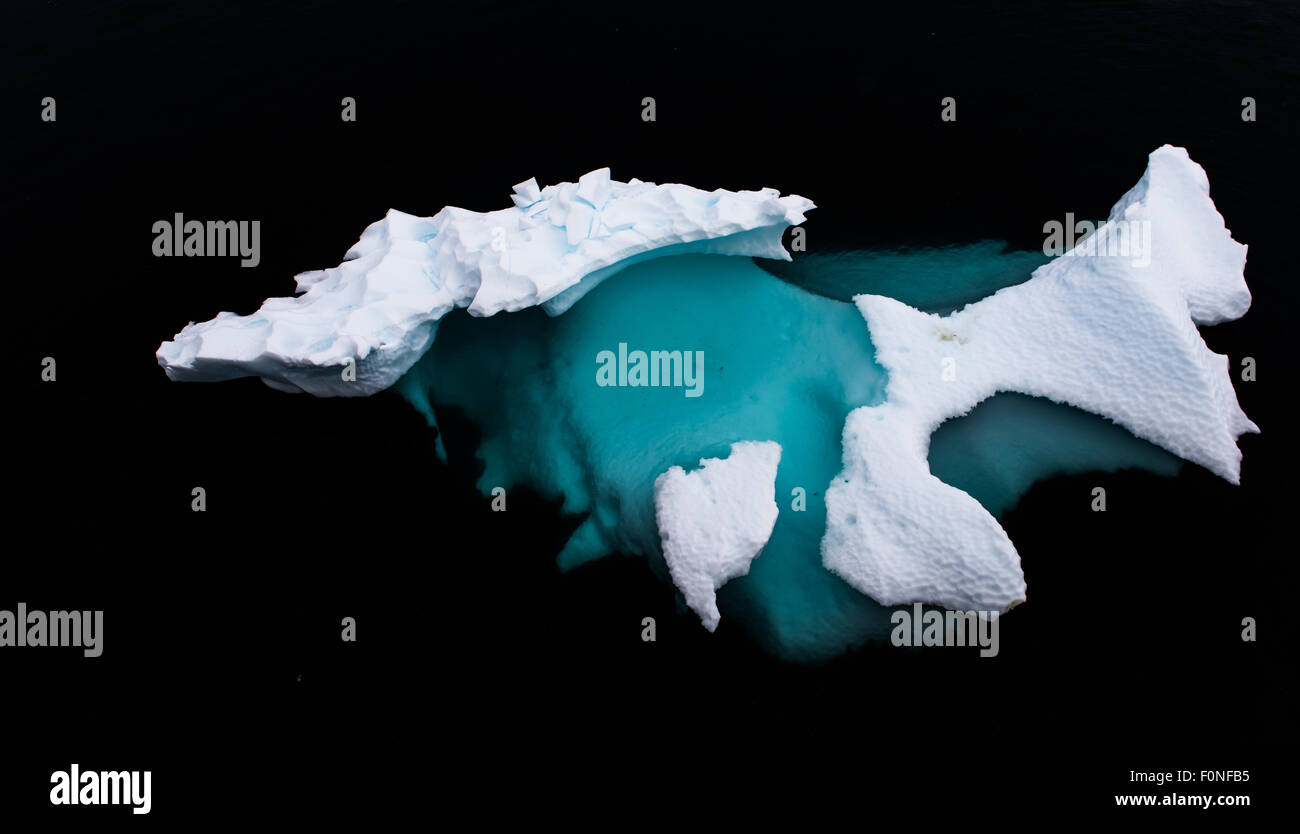 La glace flottante Neko Harbour Péninsule Antarctique Antarctique Banque D'Images