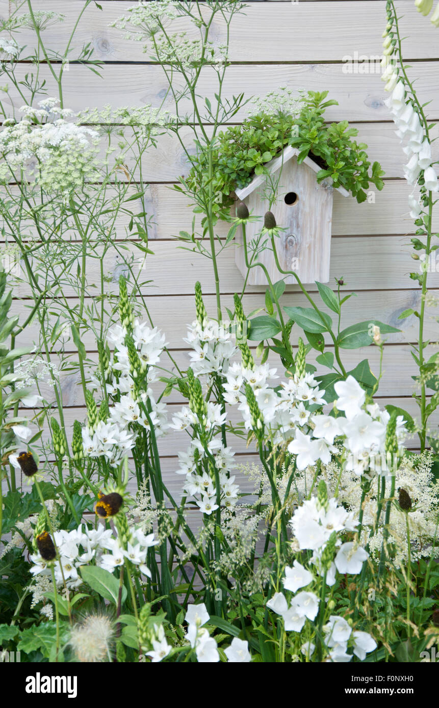 White Bird fort sur Tableaux blancs avec plantation blanc Banque D'Images