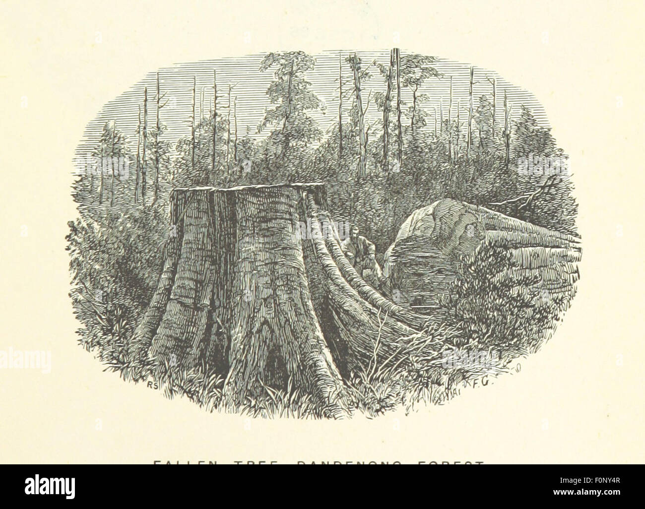 Image de la page 231 du 'Manuel illustré de Victoria', présentant des informations détaillées sur la géographie, les villes et les monuments de Victoria, en Australie. Cet ouvrage de référence est une ressource essentielle pour comprendre les caractéristiques naturelles et culturelles de la région. Banque D'Images