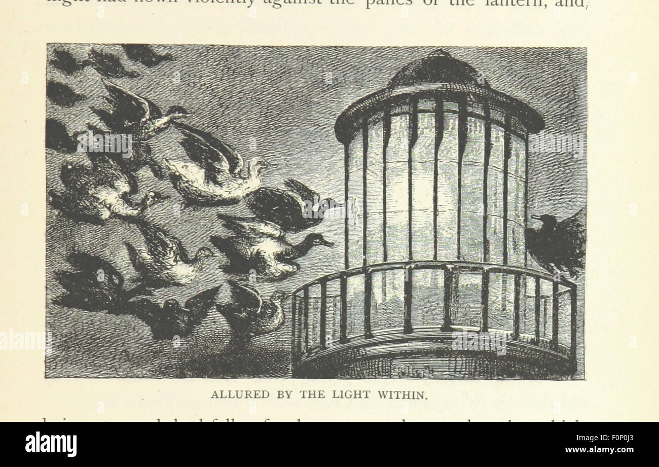 Une image tirée de « All Among the Lighthouses », un carnet de voyage documentant une croisière à bord du Goldenrod. Le livre détaille les phares visités le long de la côte américaine, avec des descriptions et des illustrations du voyage maritime. Banque D'Images