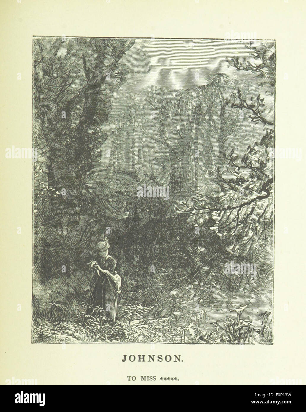 Une image tirée de « le Livre des poètes », présentant une collection d'œuvres de poètes anglais renommés tels que Chaucer et Beattie. Le livre comprend 45 gravures sur acier et un essai sur la poésie anglaise, fournissant une exploration littéraire et visuelle du genre. Banque D'Images