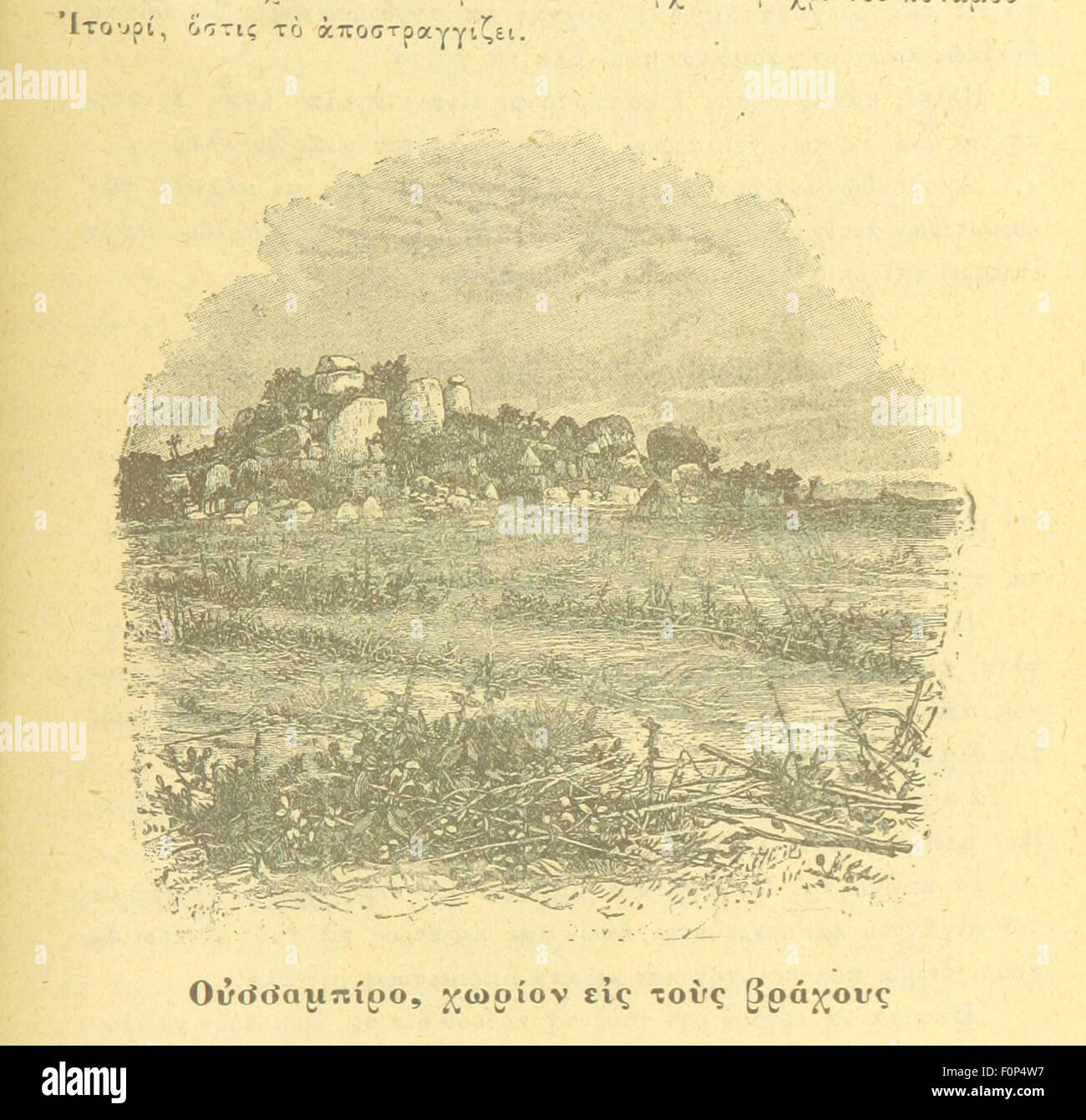 Cette image est tirée de la page 1035 de 'In Darkest Africa', un travail détaillant l'exploration et les expériences en Afrique. Le livre traite du voyage de l'auteur à travers le continent africain, explorant ses paysages et ses cultures indigènes. Banque D'Images