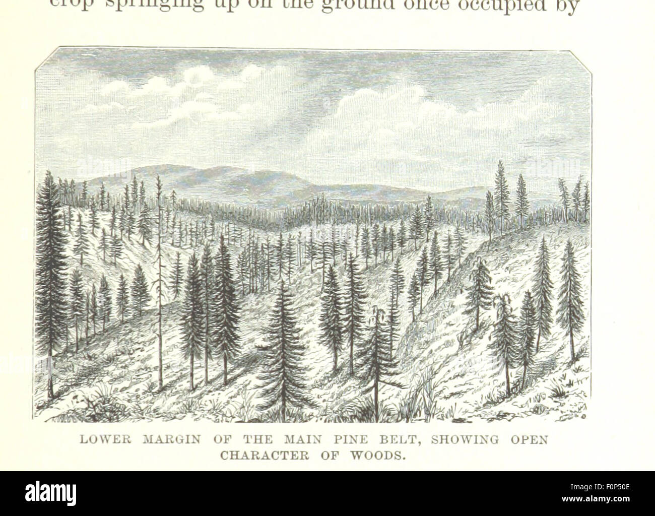 Une image de 'les montagnes de Californie', une exploration détaillée des régions montagneuses de Californie. Le livre comprend des illustrations représentant les paysages, la faune et les caractéristiques géologiques des montagnes de l'État. Banque D'Images