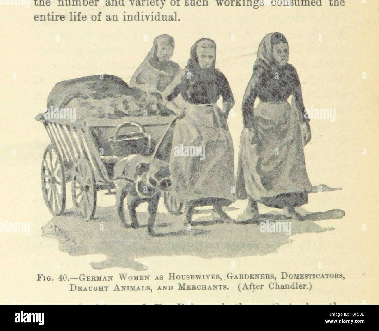 Image tirée de la page 180 de 'The Anthropological Series', éditée par le professeur F. Starr, présentant des études et des résultats anthropologiques, avec un accent sur les cultures et les sociétés humaines. Banque D'Images