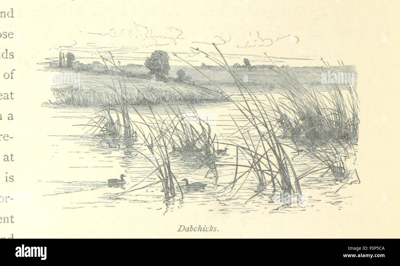 Une image de la page 192 de « la Tamise de sa source à la mer », illustrant des vues panoramiques supplémentaires et des sites historiques le long de la Tamise. Les gravures et les gravures capturent la beauté naturelle et l'histoire culturelle de la rivière. Banque D'Images