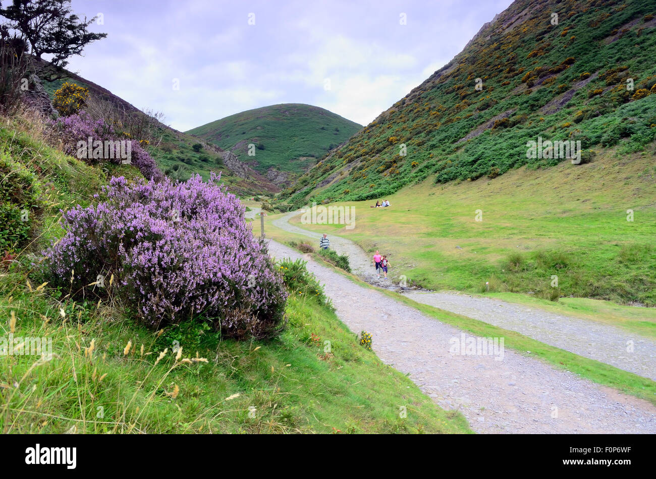 Vue de l'octroi de brevets Mill Valley dans le Shropshire. Banque D'Images