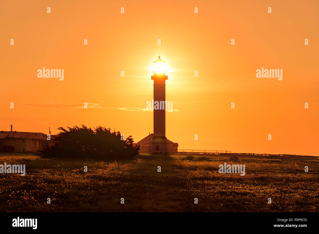 Leuchtturm sun beam dans Point Arena phare au coucher du soleil, la côte du Pacifique, en Californie Banque D'Images