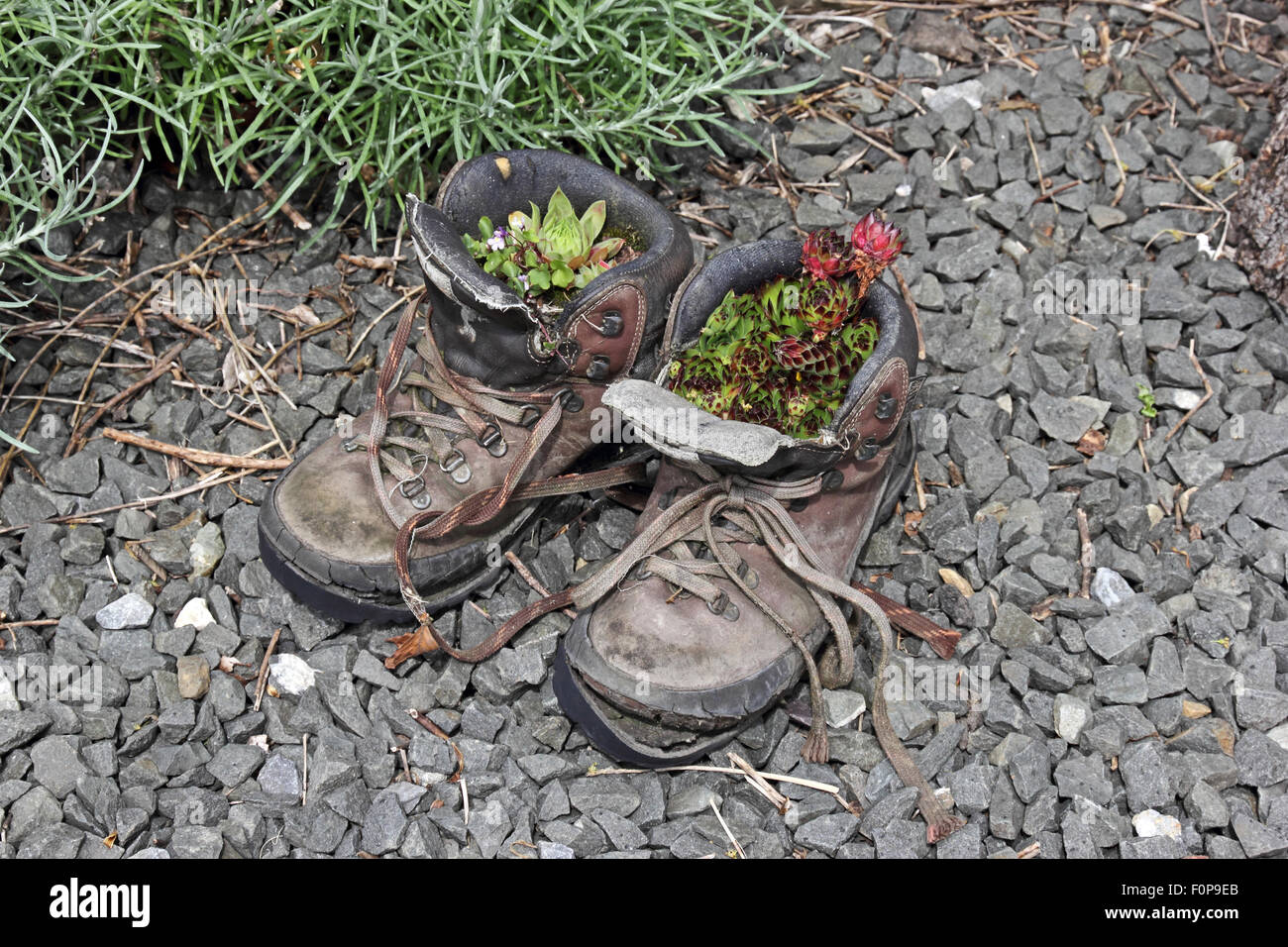 Bottes de randonnée recyclé utilisé que des semoirs Banque D'Images