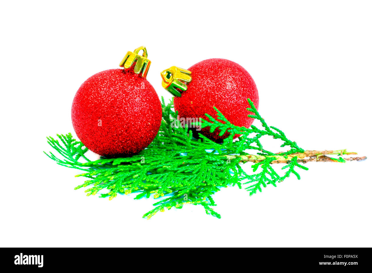 Plan Macro sur arbre de Noël Boules à l'aide d'une aiguille de pin isolated on white Banque D'Images