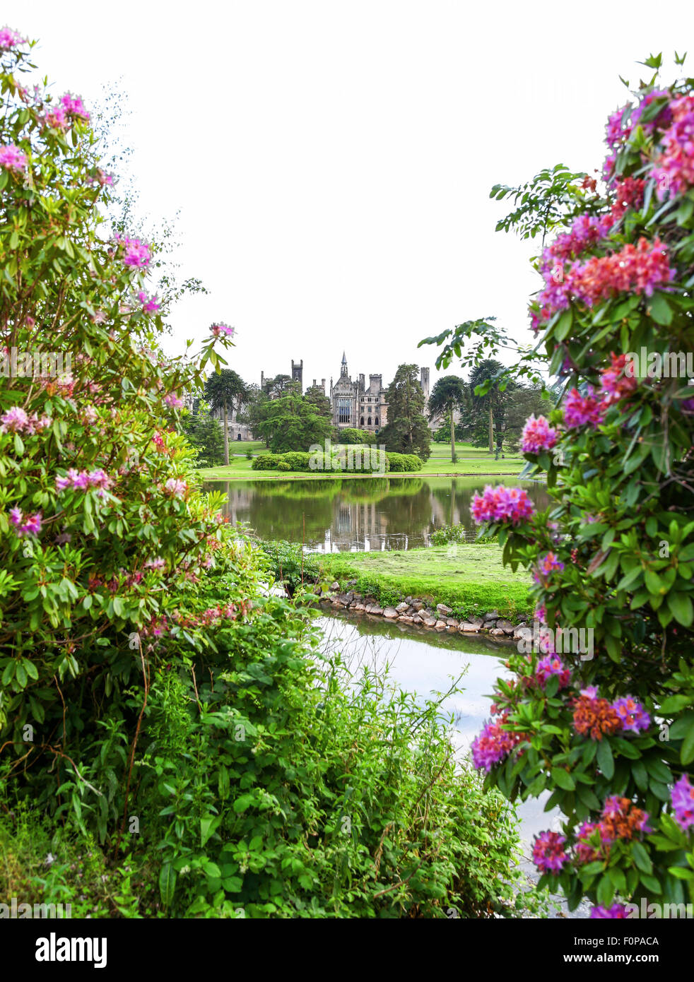 L'abandon d'Alton Towers maison sur le thème des jardins du parc immobilier Staffordshire England UK vue à travers les rhododendrons Banque D'Images