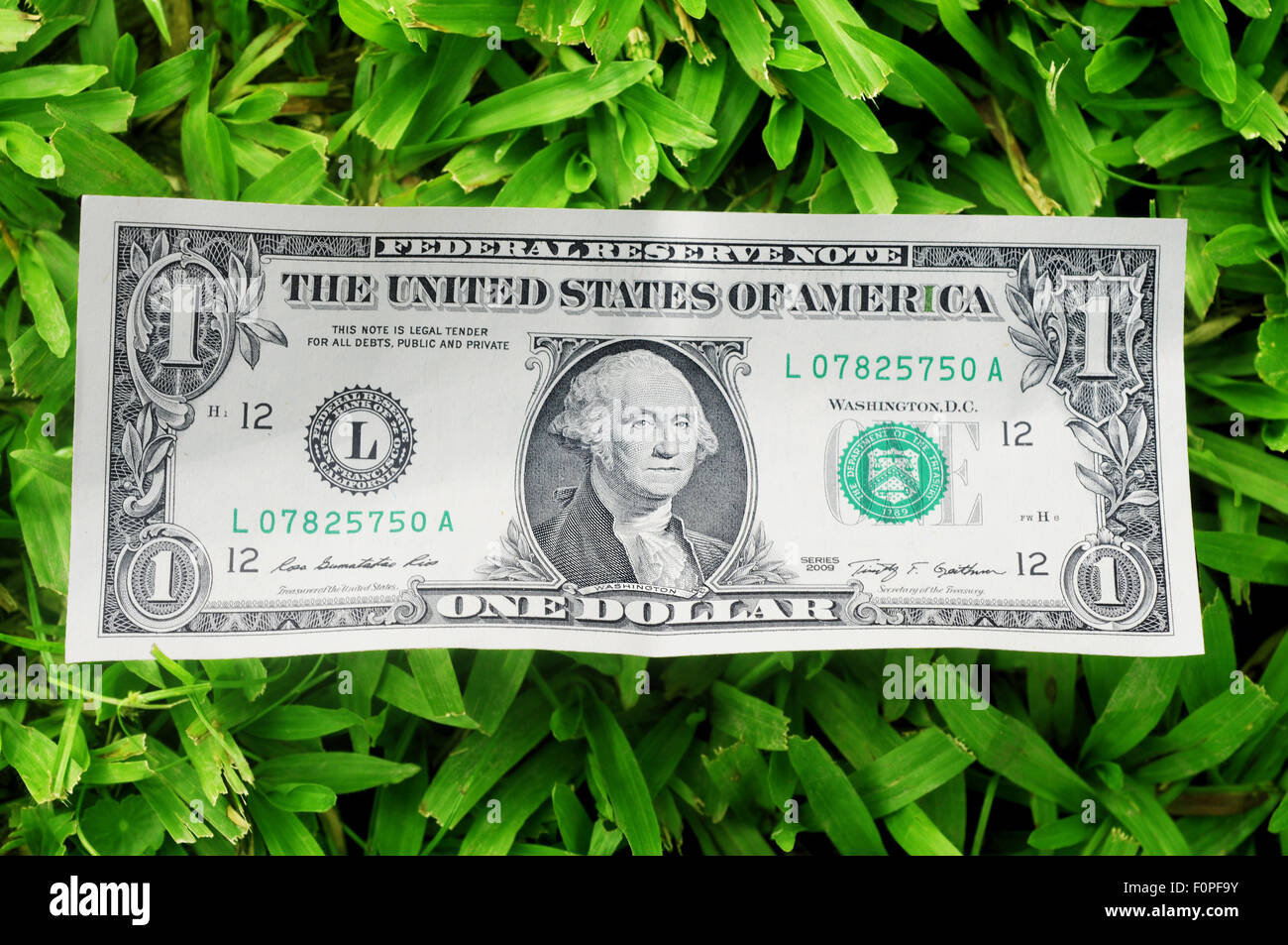 Un dollar sur un livre vert de l'herbe luxuriante Banque D'Images